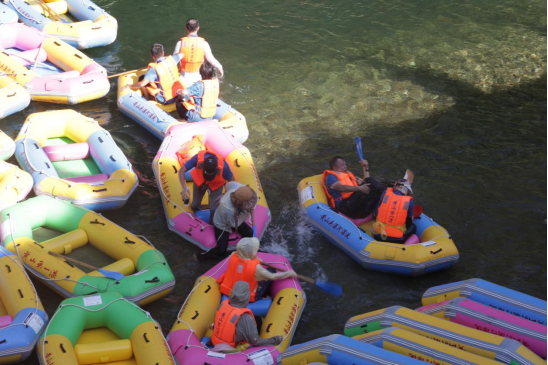 1691215556802280.png image.png